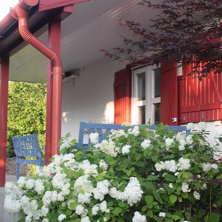 Nagymajor Birding Lodge Tiszacsege Eksteriør billede
