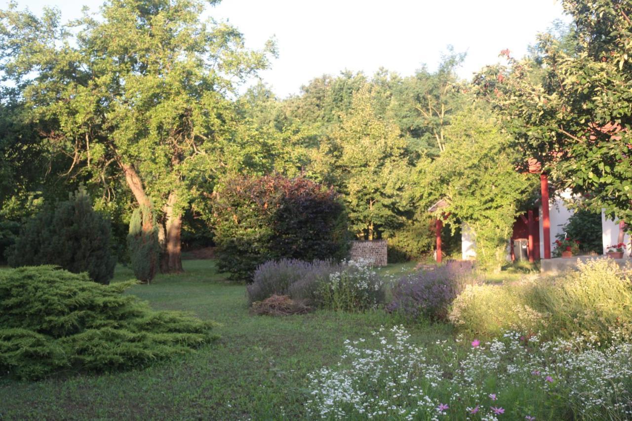 Nagymajor Birding Lodge Tiszacsege Eksteriør billede